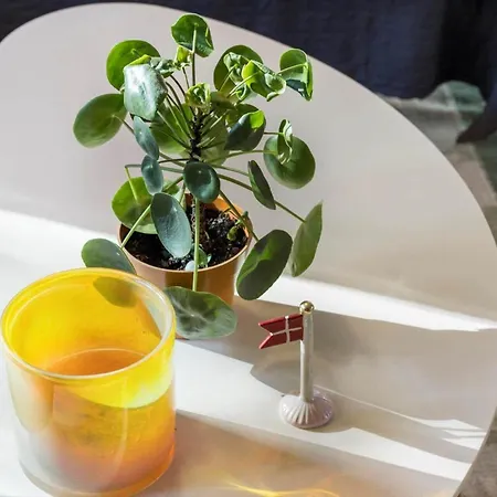 別荘 20144-samso-sneppevej-18 Nordby