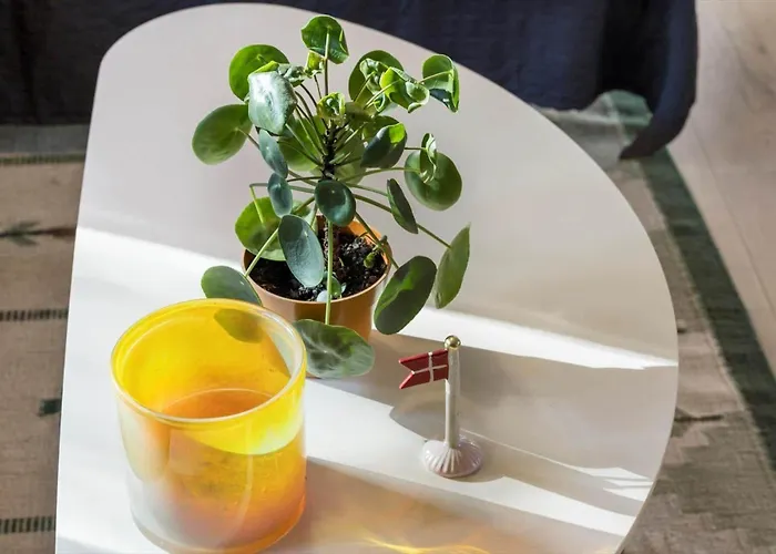 Casa vacanze 20144-samso-sneppevej-18 Nordby (Midtjylland)